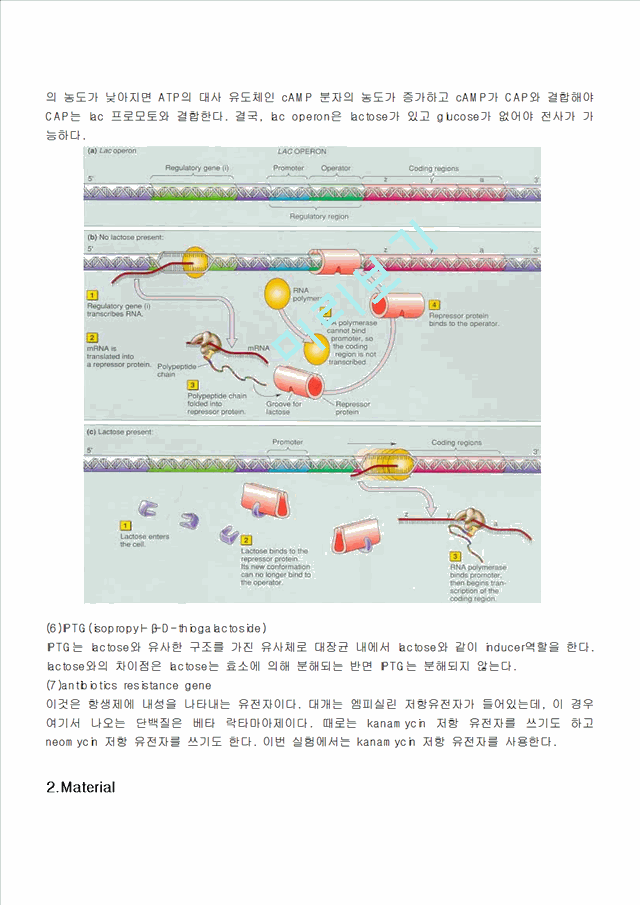 Colony overexpression   (2 )